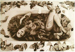AutumnLeaves
