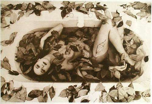 AutumnLeaves
