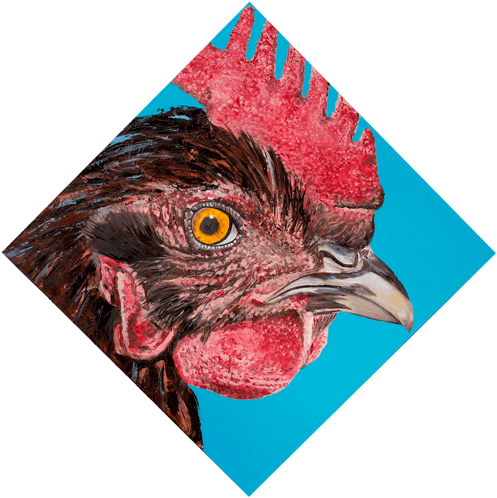 Cock-eyed Cock Eyed