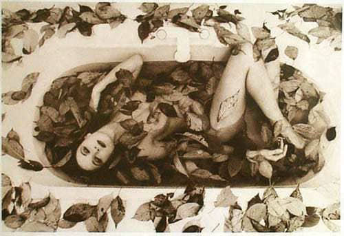 AutumnLeaves